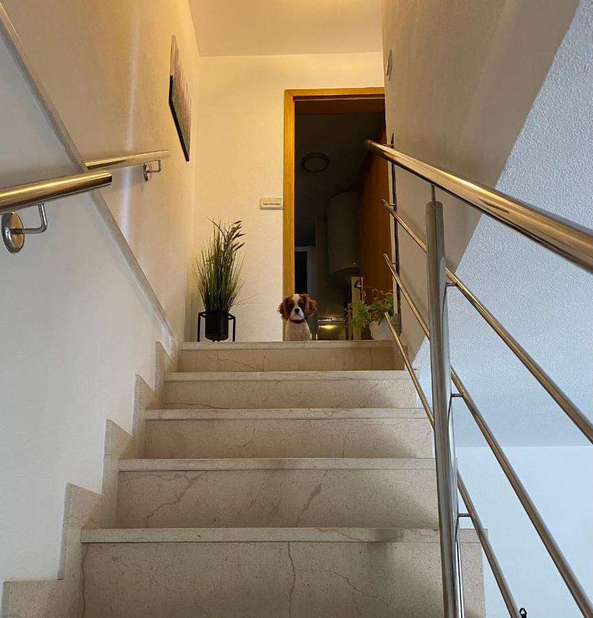 Mediterano Apartment - City Center 斯普利特 外观 照片